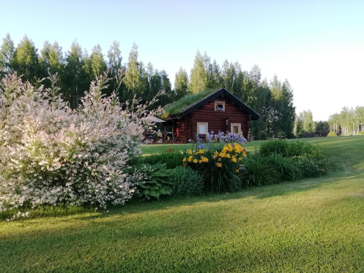 Päikseranna Holiday Centre Villa Nedsaja Exterior foto